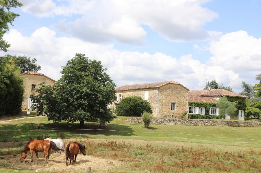 domaine equestre