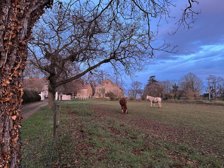 PROPRIETE A VOCATION EQUESTRE SUR 8 HA